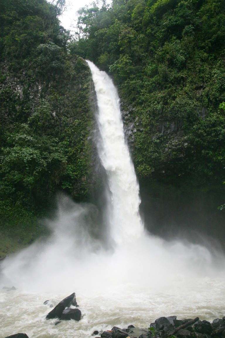 This Waterfall At La Fortuna Was Meant To Be Gentle And Thread Like - I Think It Had Been Raining!
